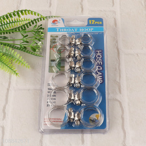 Hot selling 12pcs stainless steel <em>hose</em> <em>clamps</em> pipe <em>clamps</em>