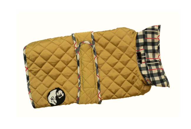 Good Christmas Gifts For Dogs